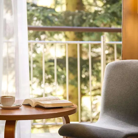 Mercure Skalny ホテル カルパッチ